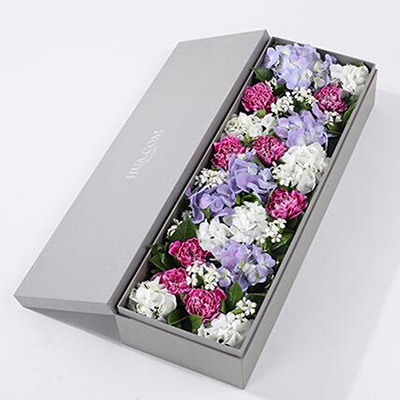 紫色白邊康乃馨8枝、白繡球1枝、藍(lán)紫色繡球1枝